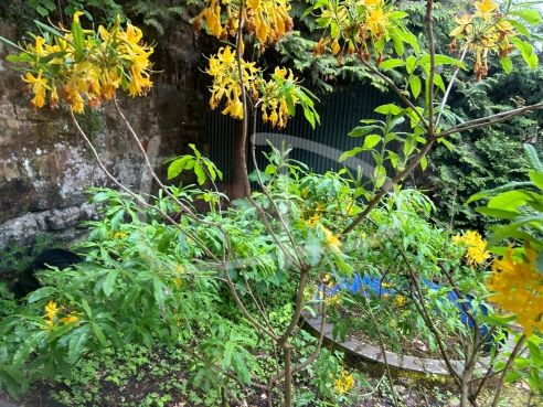 WhatsApp Image 2024-05-14 at 10.13.24.jpeg